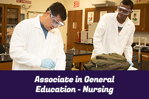 Associate in General Education - Nursing - students working in a chemistry lab