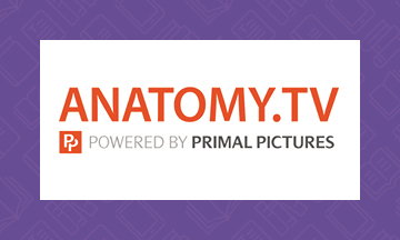 Anatomy TV