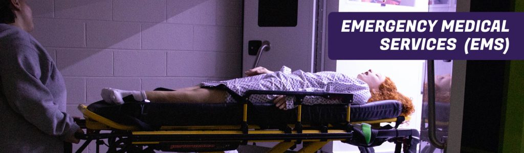 EMS Program header banner